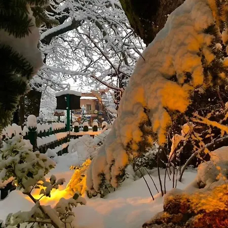 Asimina Guesthouse, Parnassos Πανσιόν