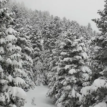 Πανσιόν Asimina Guesthouse, Parnassos