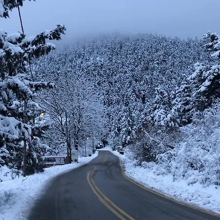 Asimina Guesthouse, Parnassos Πανσιόν 4*