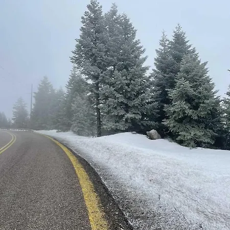 Asimina Guesthouse, Eptalofos Parnassos 4* Eptalofos