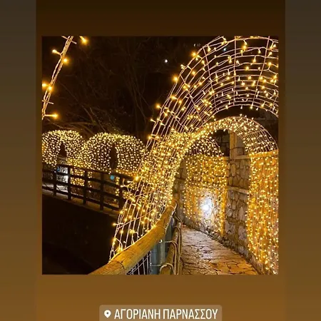 Πανσιόν Asimina Guesthouse, Parnassos 4*