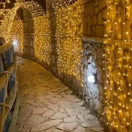 Πανσιόν Asimina Guesthouse, Parnassos