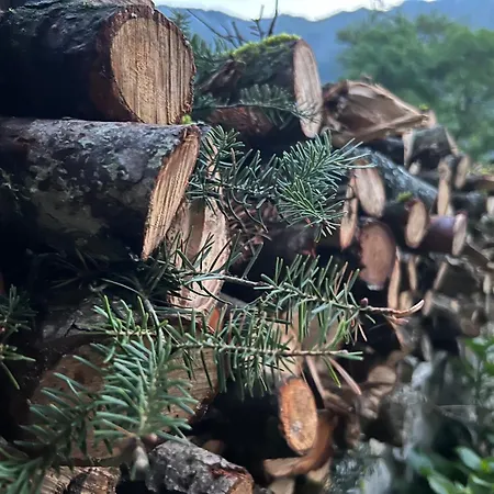 Πανσιόν Asimina Guesthouse, Parnassos