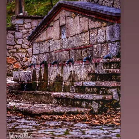Asimina Guesthouse, Parnassos Pensjonat Eptálofos