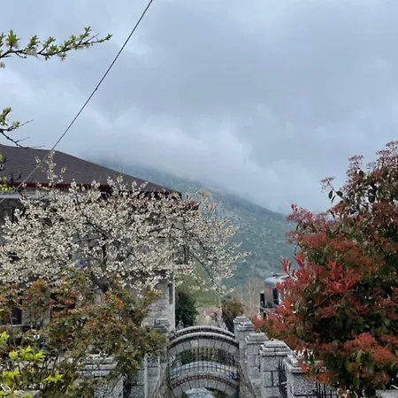 Asimina Guesthouse, Eptalofos Parnassos