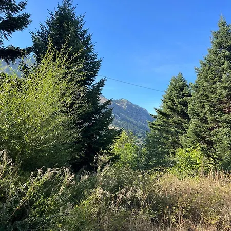 Πανσιόν Asimina Guesthouse, Parnassos