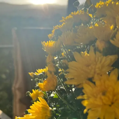 Asimina Guesthouse, Eptalofos Parnassos