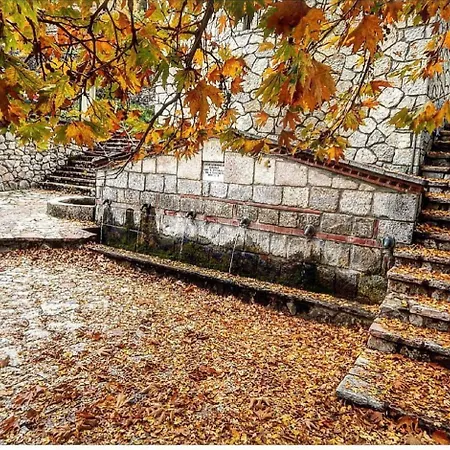 Πανσιόν Asimina Guesthouse, Parnassos 4*