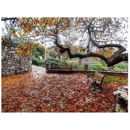 Asimina Guesthouse, Parnassos Πανσιόν 4*