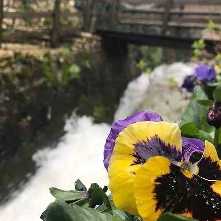 Asimina Guesthouse, Eptalofos Parnassos Guest house Eptalofos