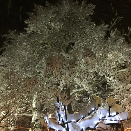 Asimina Guesthouse, Eptalofos Parnassos 4*