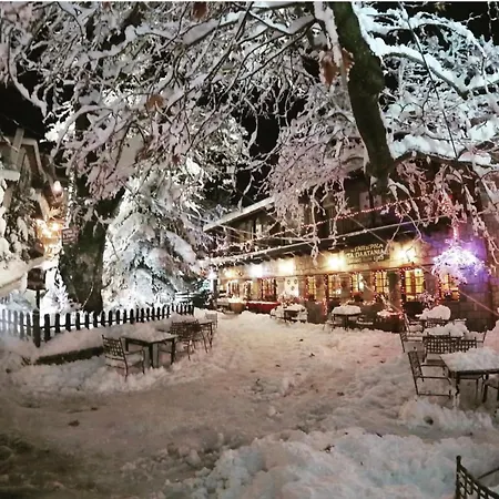 Asimina Guesthouse, Parnassos Gasthuis 4*